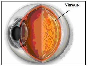 Ad:  gz6.JPG
Gsterim: 4475
Boyut:  20.7 KB