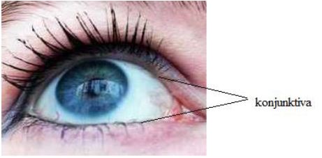 Ad:  gz7.JPG
Gsterim: 5567
Boyut:  22.4 KB