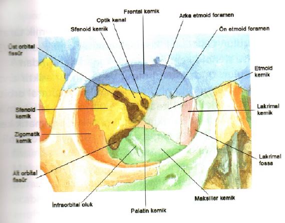 Ad:  gz2.JPG
Gsterim: 5375
Boyut:  49.1 KB