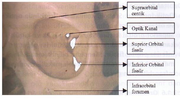 Ad:  gz3.JPG
Gsterim: 4669
Boyut:  42.2 KB