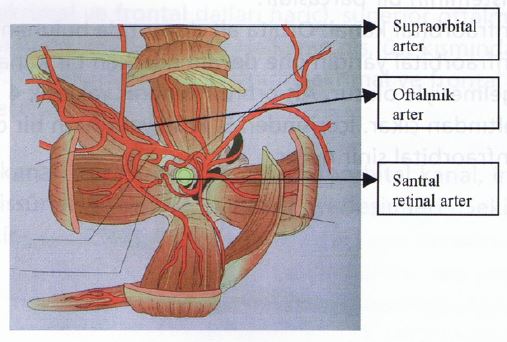 Ad:  gz4.JPG
Gsterim: 4176
Boyut:  42.5 KB