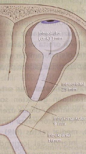 Ad:  gz5.JPG
Gsterim: 4078
Boyut:  35.1 KB