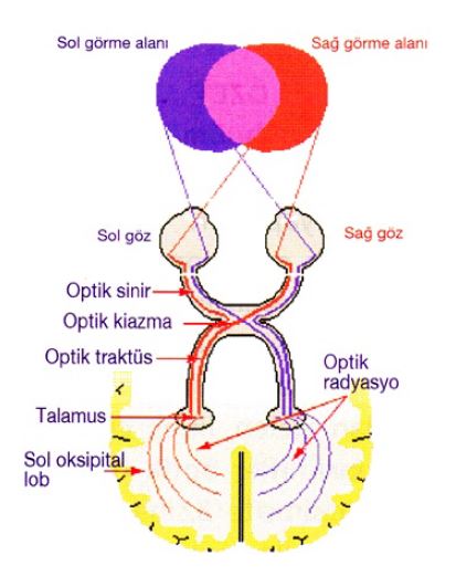 Ad:  gz7.JPG
Gsterim: 5773
Boyut:  36.6 KB