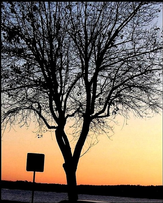 Ad:  de2.jpg
Gsterim: 341
Boyut:  182.4 KB