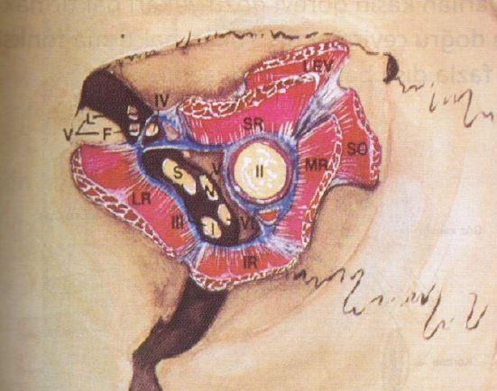 Ad:  gz13.JPG
Gsterim: 4248
Boyut:  50.1 KB