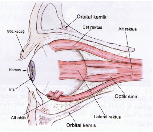 Ad:  gz14.JPG
Gsterim: 4995
Boyut:  48.1 KB