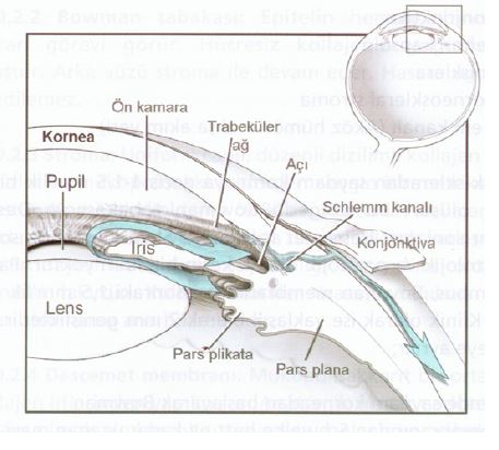 Ad:  gz18.JPG
Gsterim: 4480
Boyut:  36.4 KB
