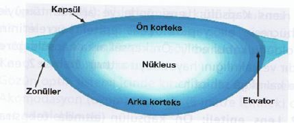 Ad:  gz20.JPG
Gsterim: 4183
Boyut:  19.8 KB