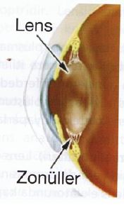 Ad:  gz21.JPG
Gsterim: 3902
Boyut:  16.3 KB