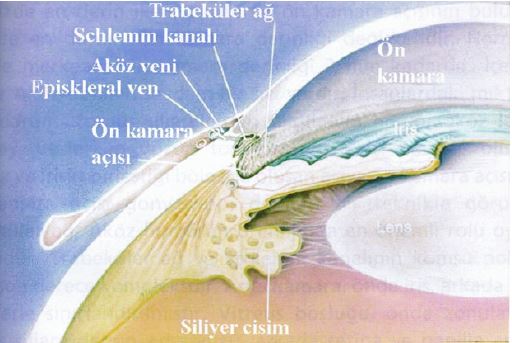 Ad:  gz22.JPG
Gsterim: 4520
Boyut:  38.1 KB