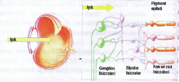 Ad:  gz25.JPG
Gsterim: 4187
Boyut:  33.6 KB