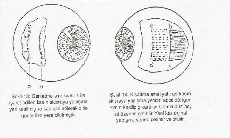 52956d1468693604 sasilik sasilik1 - 52956d1468693604 sasilik sasilik1