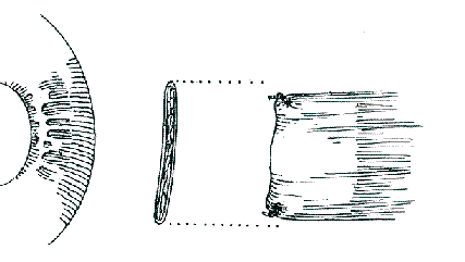 Ad:  sasilik3.GIF
Gösterim: 1385
Boyut:  5.9 KB