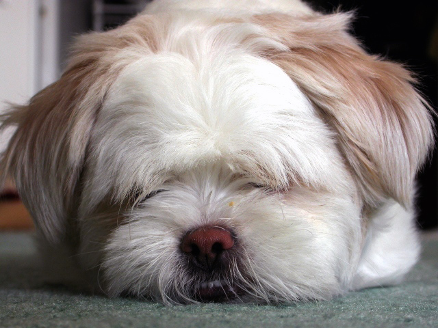 Ad:  tired.jpg
Gsterim: 313
Boyut:  176.2 KB