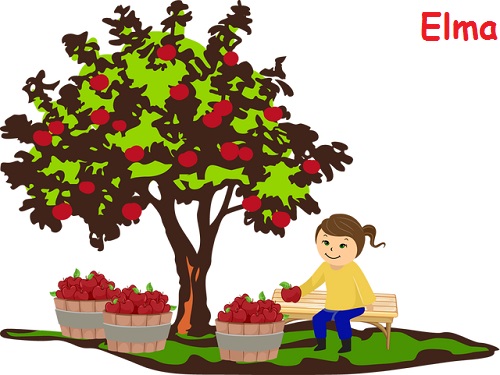 Ad:  elma.jpg
Gsterim: 1701
Boyut:  71.6 KB