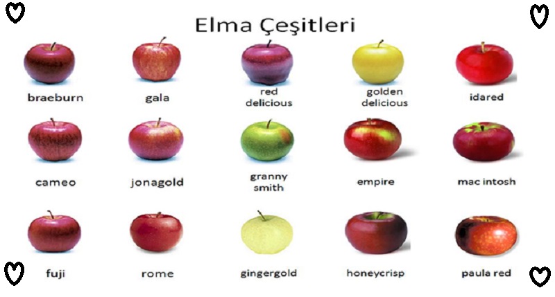 Ad:  elma-cesitleri.jpg
Gsterim: 4567
Boyut:  62.5 KB