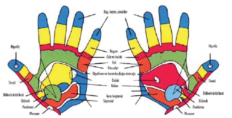 Ad:  el refleksoloji.jpg
Gsterim: 1870
Boyut:  94.5 KB