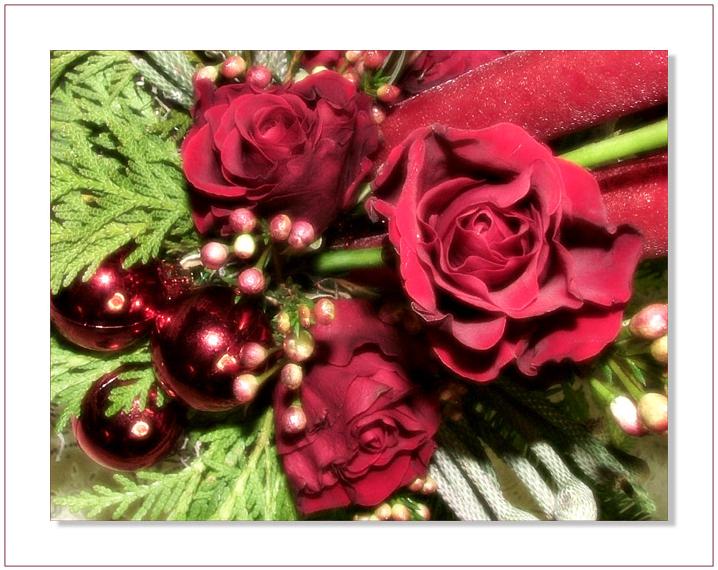 Ad:  dscf5279.jpg
Gsterim: 496
Boyut:  72.5 KB