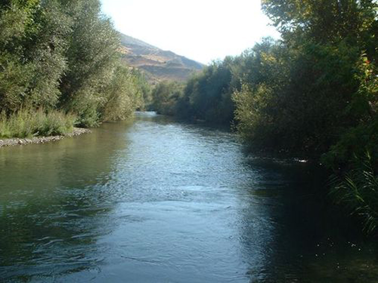 Ad:  gksu.jpg
Gsterim: 4780
Boyut:  259.8 KB