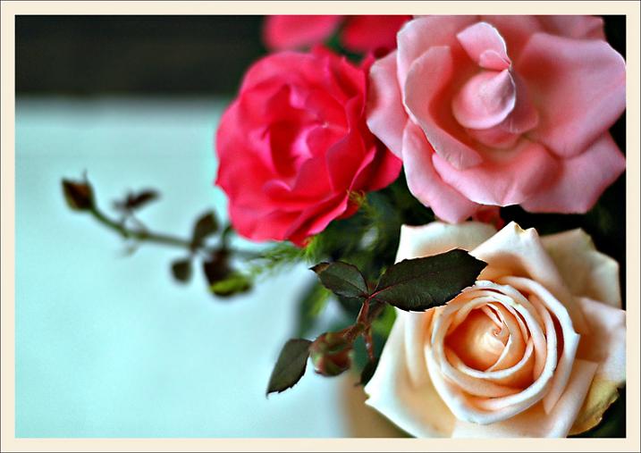 Ad:  tl080.jpg
Gsterim: 335
Boyut:  45.8 KB