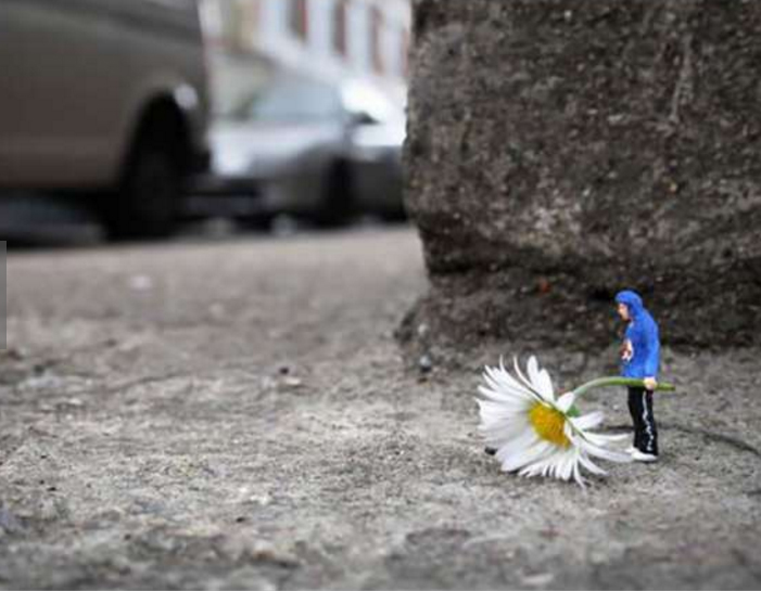 Ad: minyatür dünya4.jpg
Gösterim: 496
Boyut: 205.5 KB