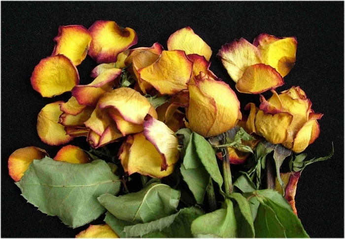 Ad:  time_expired.jpg
Gsterim: 397
Boyut:  199.9 KB