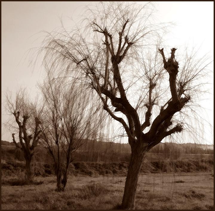 Ad:  tl_a_04-febrer-2006_160b.jpg
Gsterim: 422
Boyut:  116.7 KB