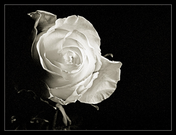 Ad:  114-2005-fr32-tl.jpg
Gsterim: 361
Boyut:  90.8 KB