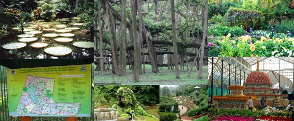 Ad:  Hindistan Botanik Bahesi.jpg
Gsterim: 1455
Boyut:  52.6 KB