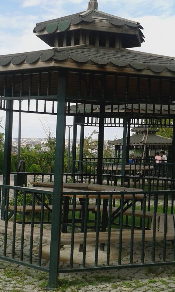 Ad:  ankara8.jpg
Gsterim: 240
Boyut:  84.6 KB