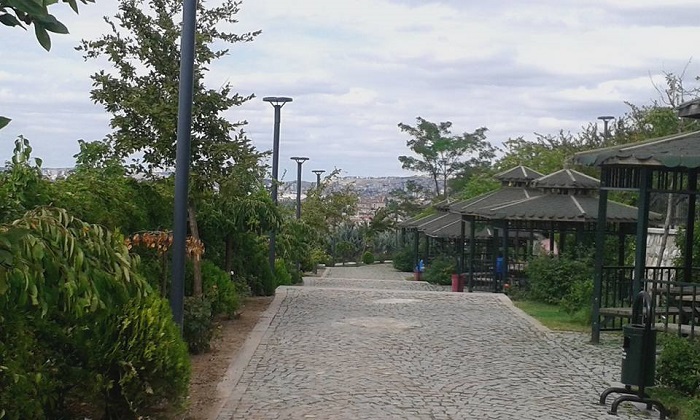 Alıntıdaki Ek 54063