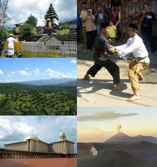 Ad:  Endonezya8.jpg
Gsterim: 1422
Boyut:  59.1 KB