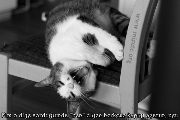 Ad:  kim-o-diye.jpg
Gsterim: 463
Boyut:  58.7 KB