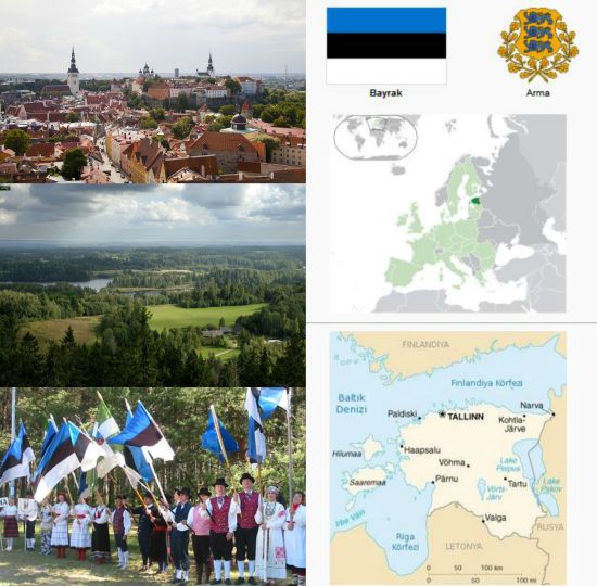 Ad:  estonya1.jpg
Gsterim: 1065
Boyut:  61.4 KB