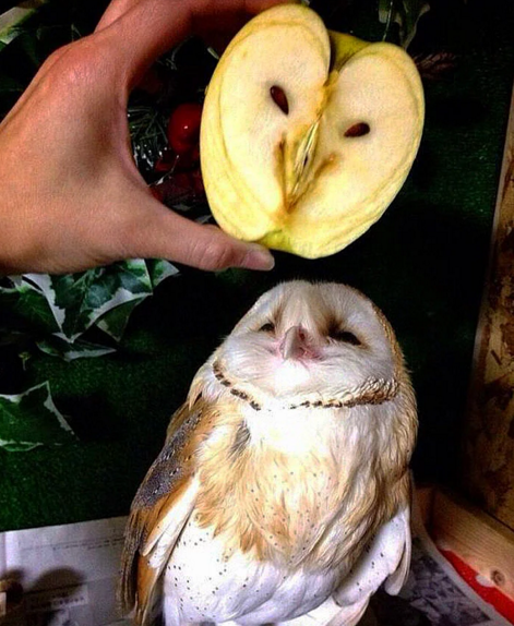 Ad:  komik-resimler.png
Gsterim: 277
Boyut:  518.1 KB