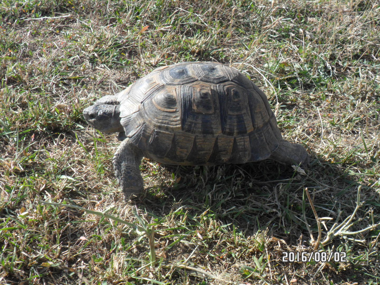 Ad:  SAM_0785.jpg
Gsterim: 400
Boyut:  442.9 KB