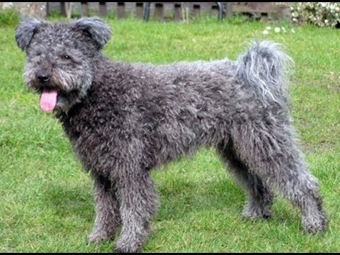 Ad:  hqdefault.jpg
Gsterim: 384
Boyut:  47.3 KB