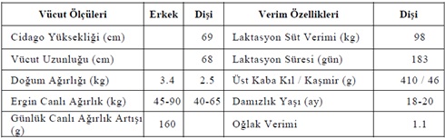 Ad: kil_kecisi_yetistirmek1.jpg
Gösterim: 365
Boyut: 35.7 KB