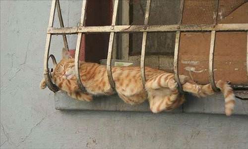 Ad:  komik-resimler10.jpg
Gsterim: 209
Boyut:  20.3 KB