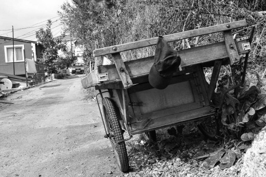 Ad:  siyahbeyaz-resimler.jpg
Gsterim: 398
Boyut:  91.7 KB