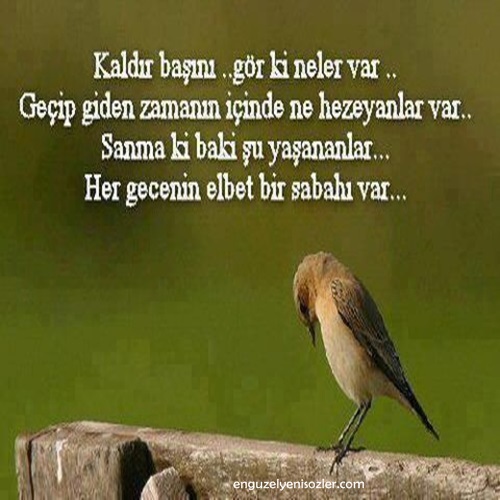 Ad: 16ab416acc4974015b98e9a715ece237.jpg
Gösterim: 108
Boyut: 72.7 KB