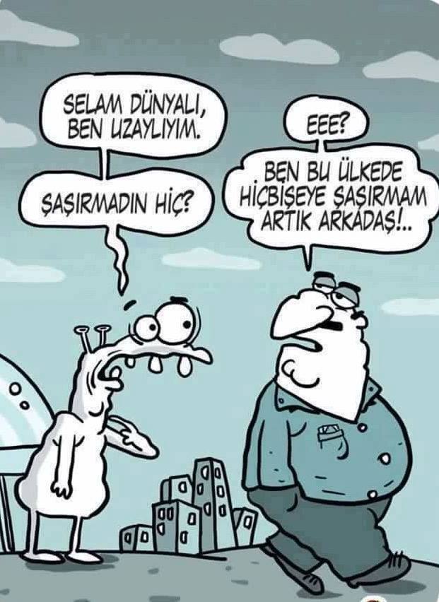 Al�nt�daki Ek 54489