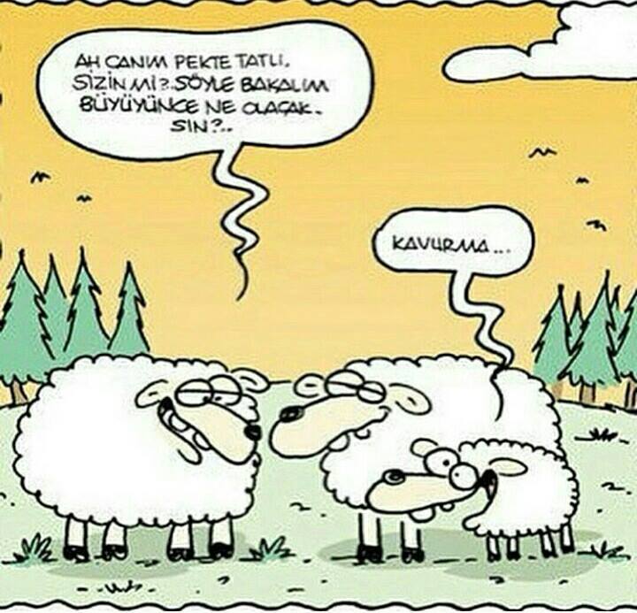 Ad:  karikatr-resimler7.jpg
Gsterim: 635
Boyut:  69.8 KB