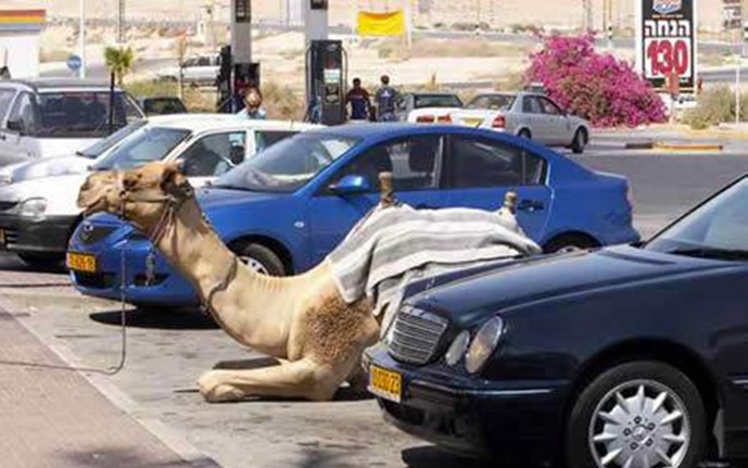 Ad:  ilgin�-g�r�nt�ler5.jpg
G�sterim: 194
Boyut:  99.3 KB