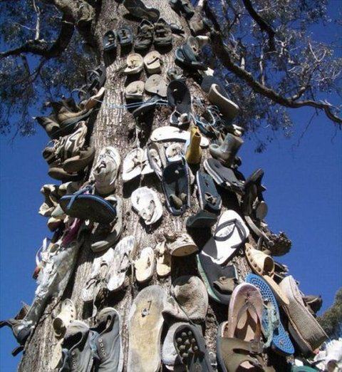 Ad:  ilgin-grntler23.jpg
Gsterim: 211
Boyut:  66.6 KB