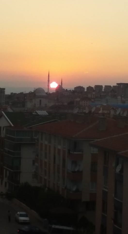 Alıntıdaki Ek 54581