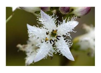 Ad:  220128-3-4-93417.jpg
Gsterim: 256
Boyut:  19.9 KB