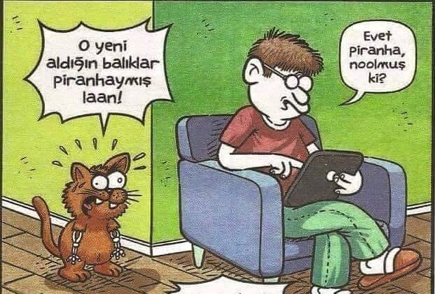 Ad:  karikatr-resimler.jpg
Gsterim: 440
Boyut:  135.3 KB