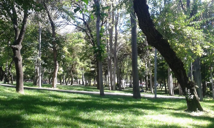 Alıntıdaki Ek 54792