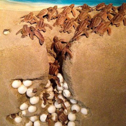 Ad:  lgin-Grntler.jpg
Gsterim: 164
Boyut:  47.2 KB